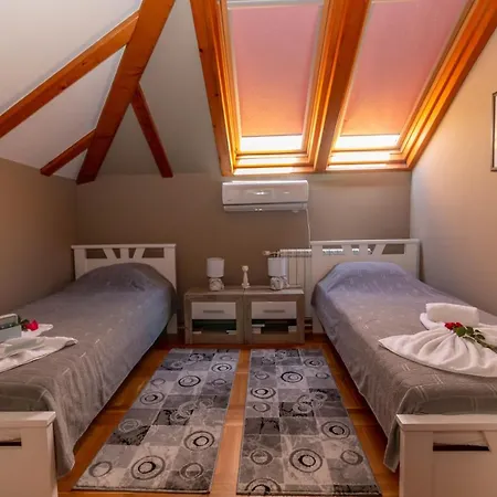 Wisteria * Smederevo