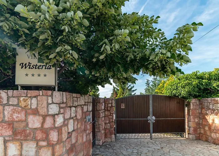 Wisteria